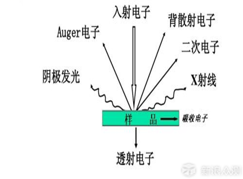 电镜图片是彩色的吗？_新浪众测