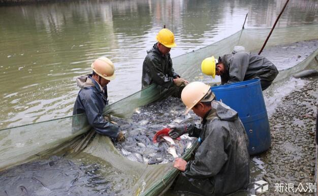 铁打营盘流水兵--忘不了的校园食堂菜_新浪众测