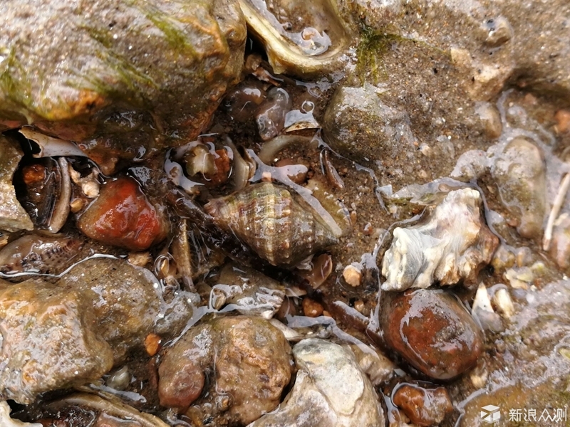 吃货说海鲜，除了经验，还是经验_新浪众测