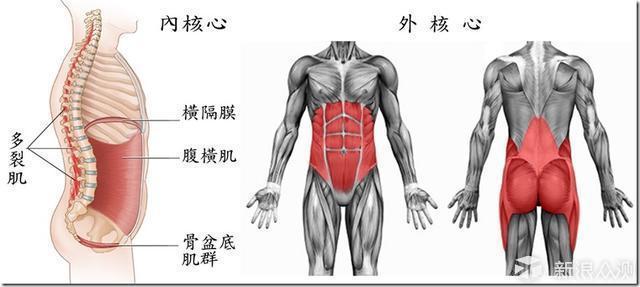 #不负春光#自律给我自由（运动篇)_新浪众测