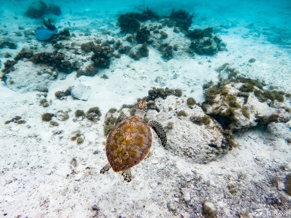 依然能陪你一起浪——gopro hero5体验谈_新浪众测