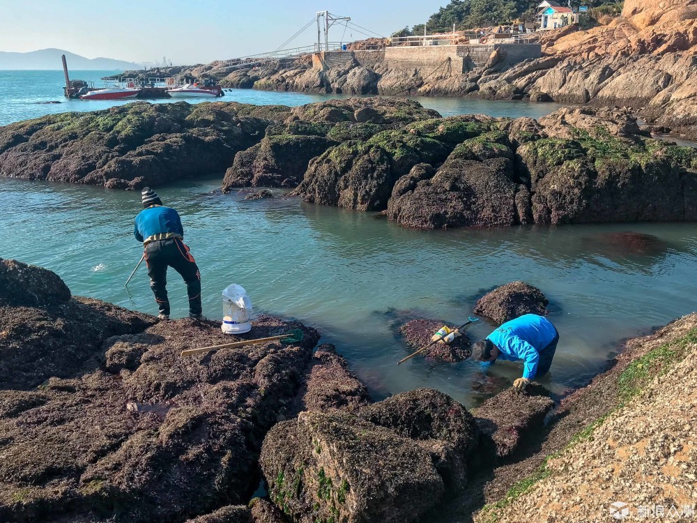 冬日青岛48小时，意犹未尽。_新浪众测