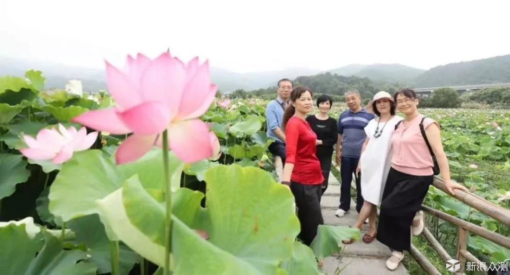 酷热难耐的盛夏，这里才是庐山人爱去的地方_新浪众测