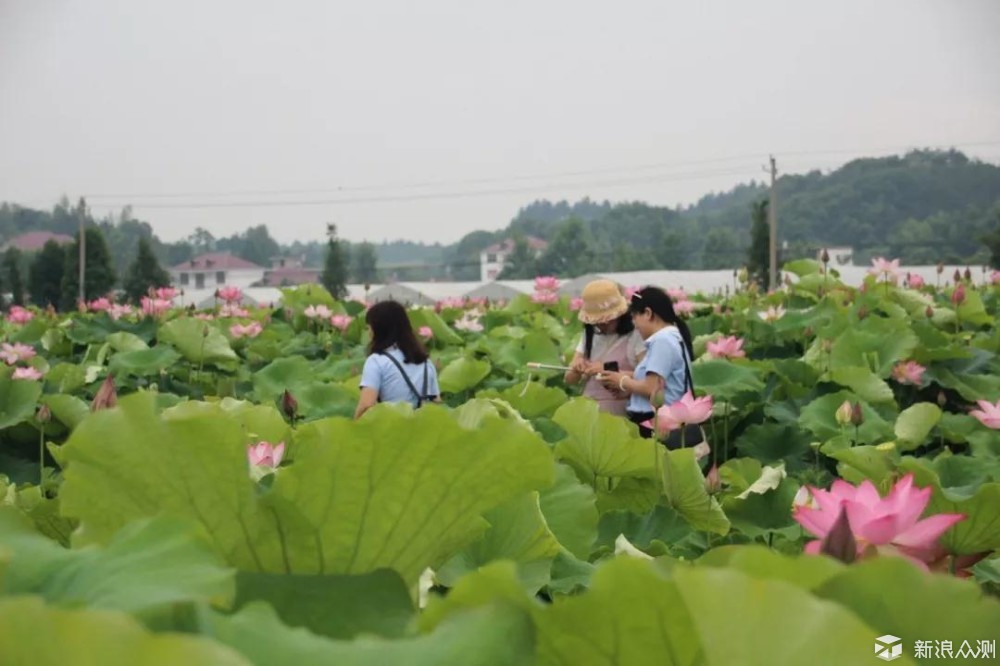 酷热难耐的盛夏，这里才是庐山人爱去的地方_新浪众测