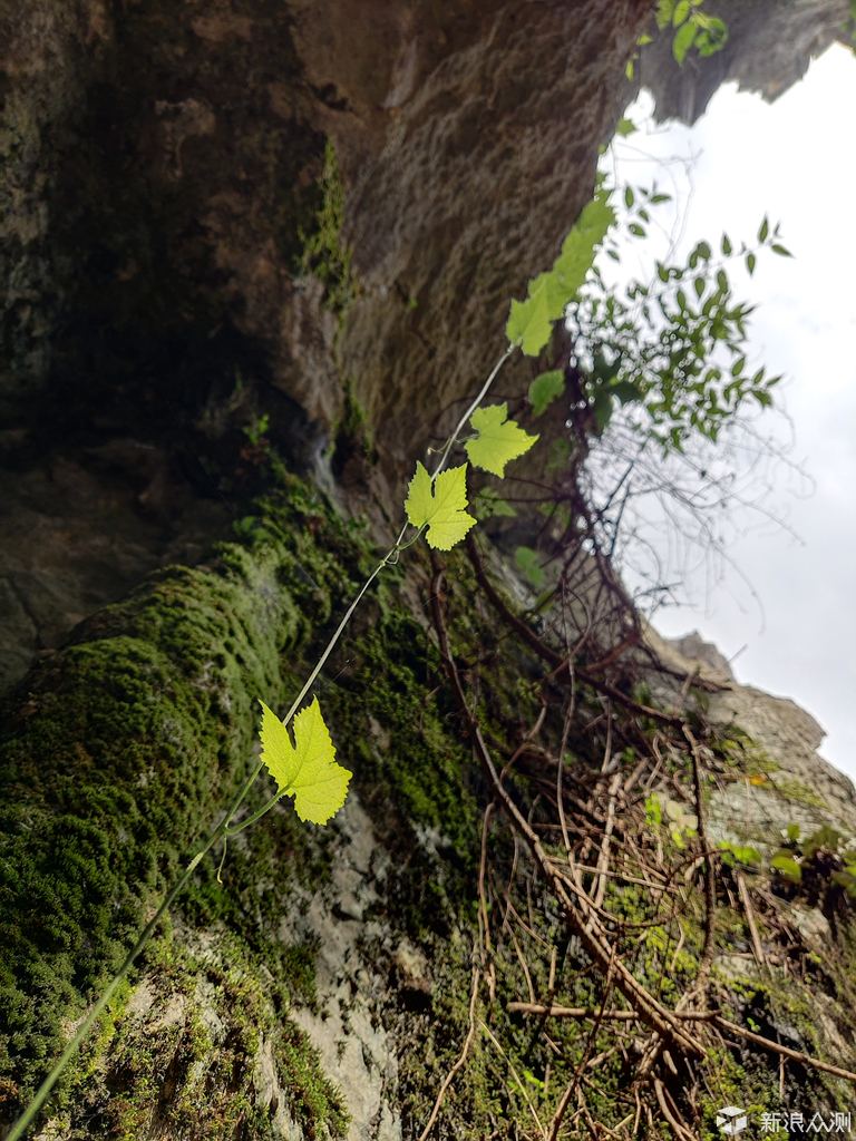 【手机摄影】体验大自然鬼斧神工的石林风景区  _新浪众测