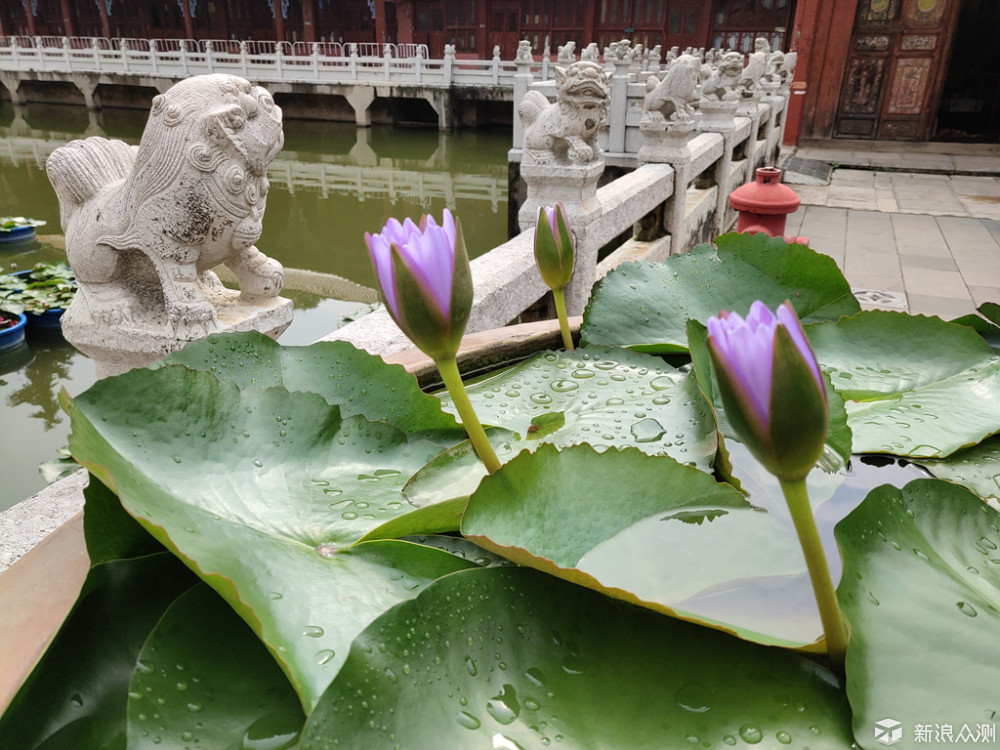 【手机摄影】昆明闹市中让你身心清静的圆通寺  _新浪众测