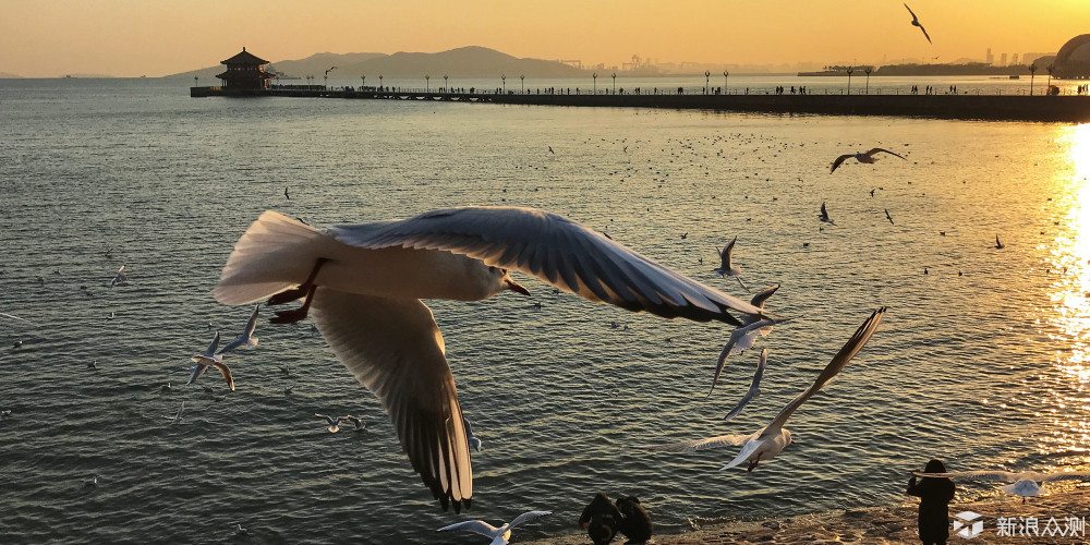 我怀念的，是一起做梦的时候_新浪众测