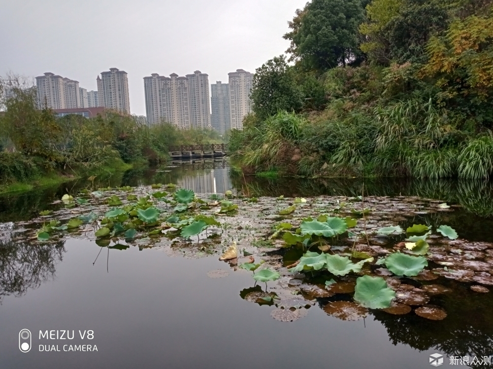 黄章亲自打造，魅族产线最便宜的手机！_新浪众测