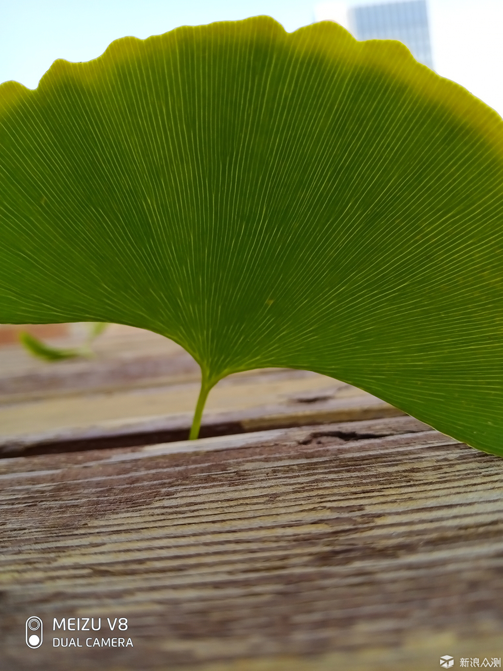 魅族v8，秋天的尾巴_新浪众测