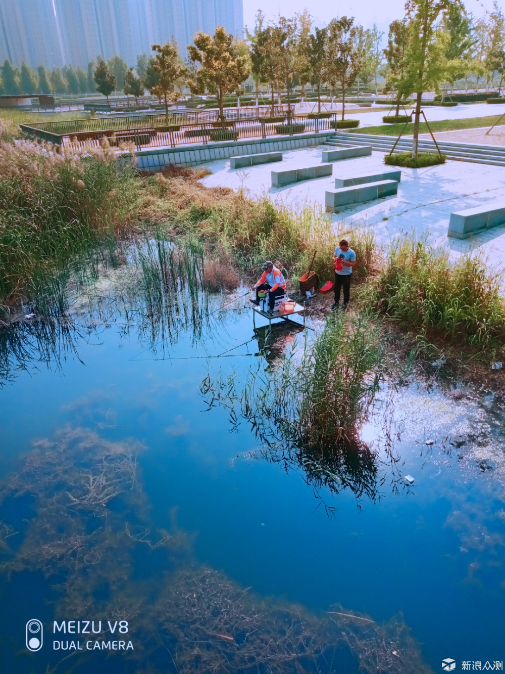 魅族V8~~秋天的尾巴_新浪众测