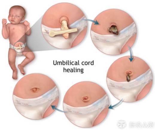超级辣妈浅谈新生儿护理（详解+手绘图）_新浪众测