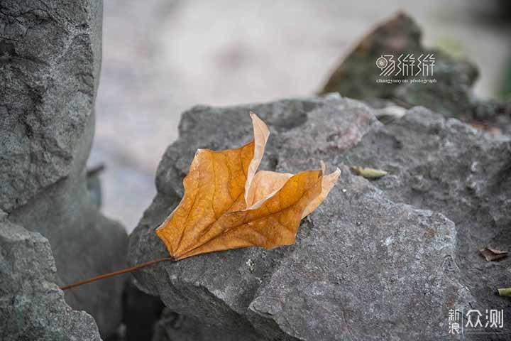 慢时光下，来一场盐系旅行_新浪众测