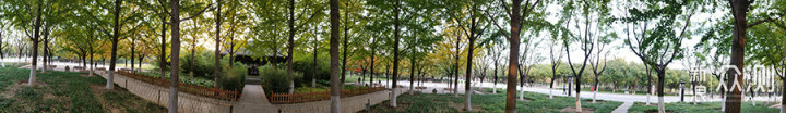 五颜六色，游走在被深秋包裹的北京公园_新浪众测