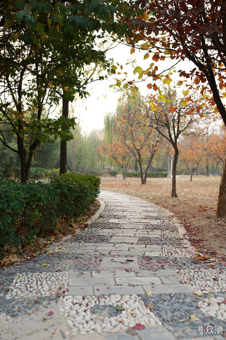 五颜六色，游走在被深秋包裹的北京公园_新浪众测