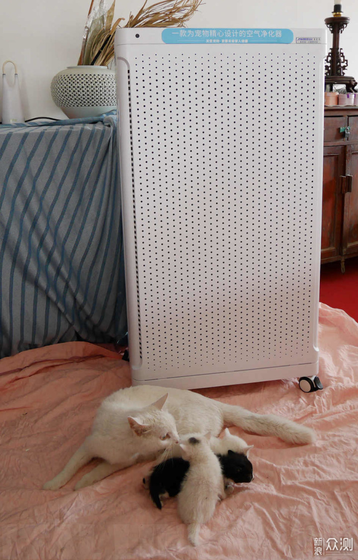 又大又白的空气净化器，让宠物呼吸得更健康_新浪众测
