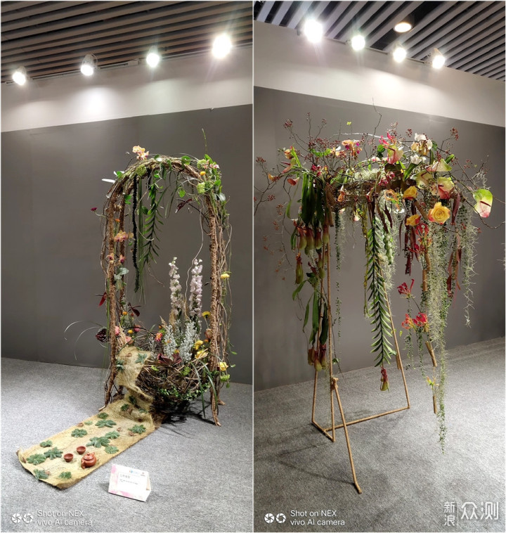 带着手机逛2018广州国际花卉艺术展_新浪众测