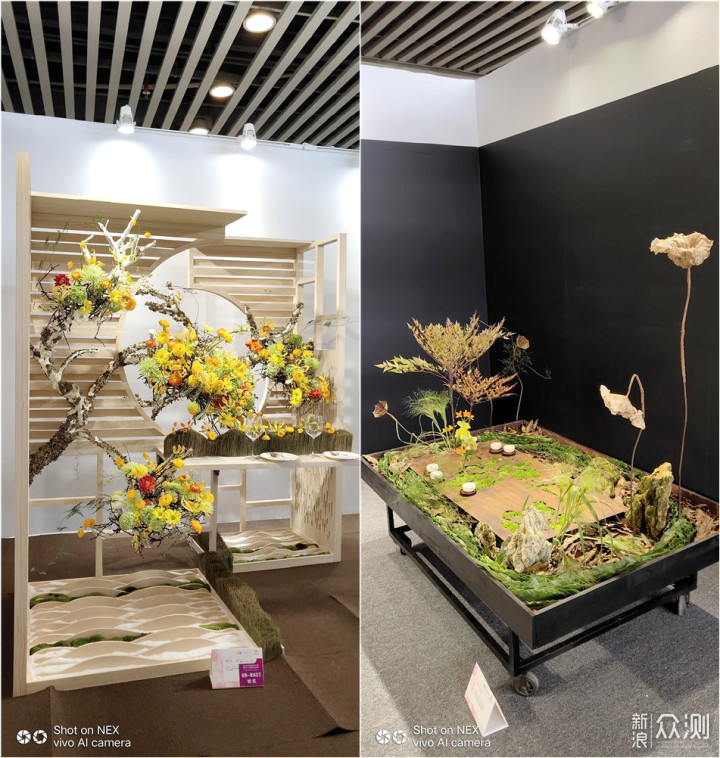 带着手机逛2018广州国际花卉艺术展_新浪众测