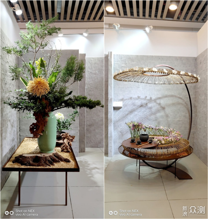 带着手机逛2018广州国际花卉艺术展_新浪众测