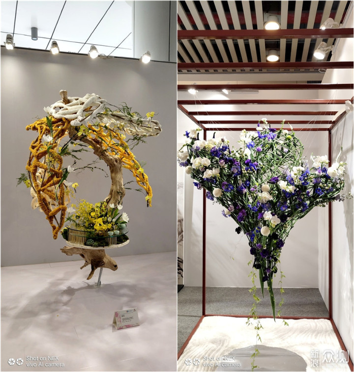 带着手机逛2018广州国际花卉艺术展_新浪众测