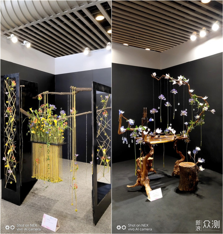 带着手机逛2018广州国际花卉艺术展_新浪众测