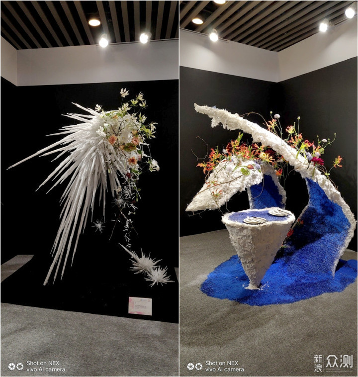 带着手机逛2018广州国际花卉艺术展_新浪众测