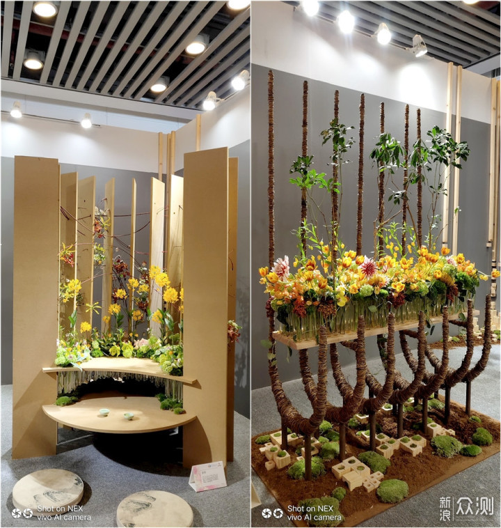 带着手机逛2018广州国际花卉艺术展_新浪众测