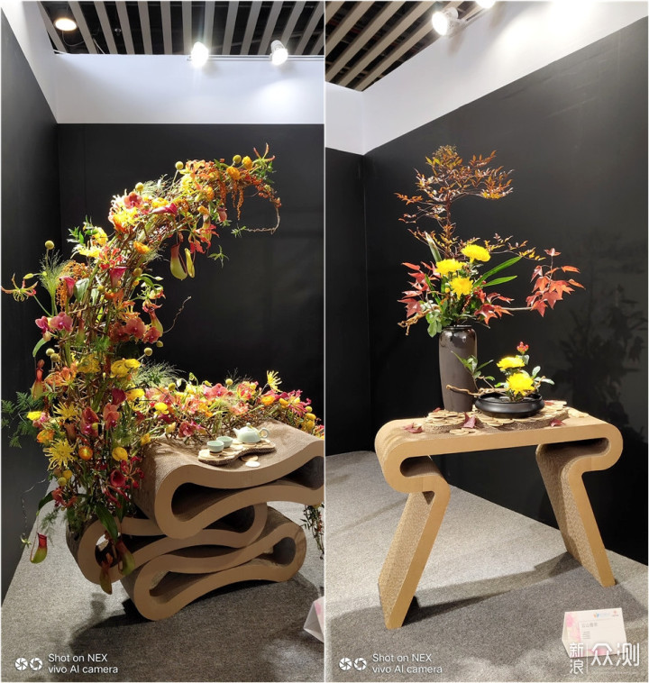 带着手机逛2018广州国际花卉艺术展_新浪众测