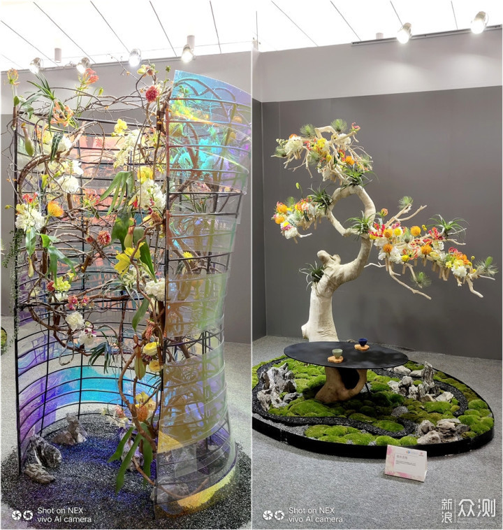 带着手机逛2018广州国际花卉艺术展_新浪众测