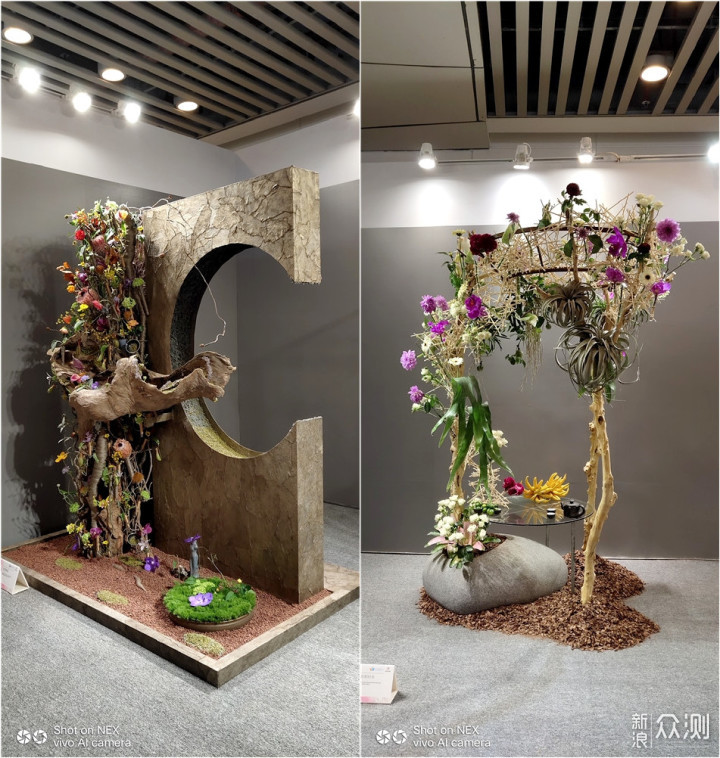 带着手机逛2018广州国际花卉艺术展_新浪众测