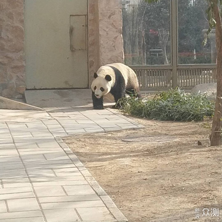 这个春节回济南过_新浪众测