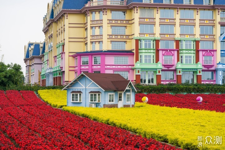 最长花期的郁金香花艺盛宴就在广州百万葵园_新浪众测