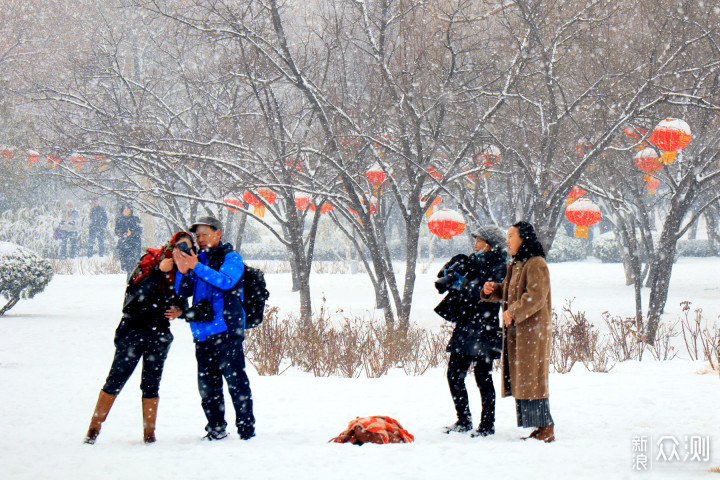 瑞雪迎春  雪落牛城欢乐多_新浪众测