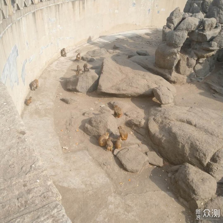 这个春节回济南过_新浪众测