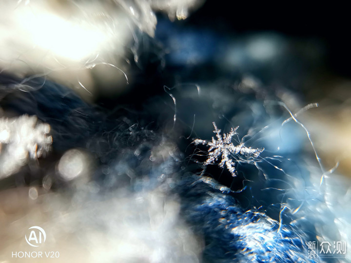 新年过后，喜迎春雪_新浪众测