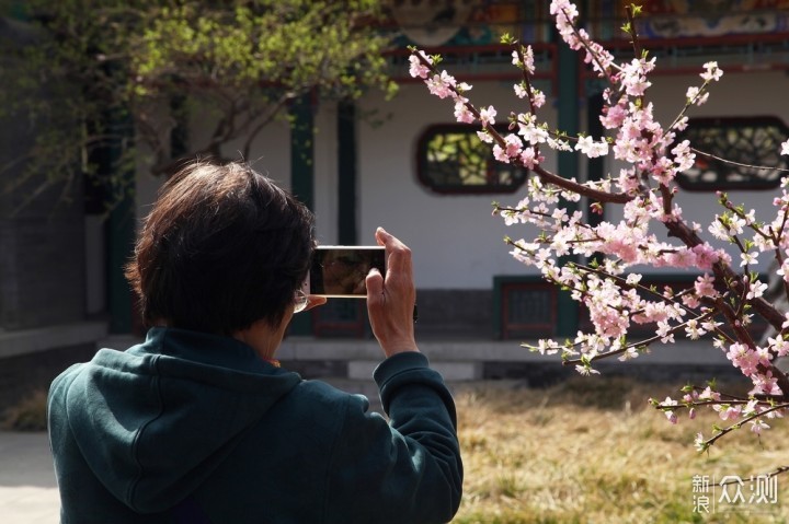 2019年在北京赏花，看这一篇文章就够了_新浪众测