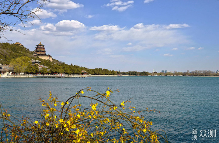 2019年在北京赏花，看这一篇文章就够了_新浪众测