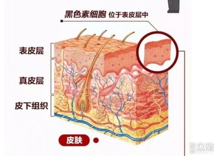 想要晒不黑？小仙女超全面防晒伞大测评_新浪众测