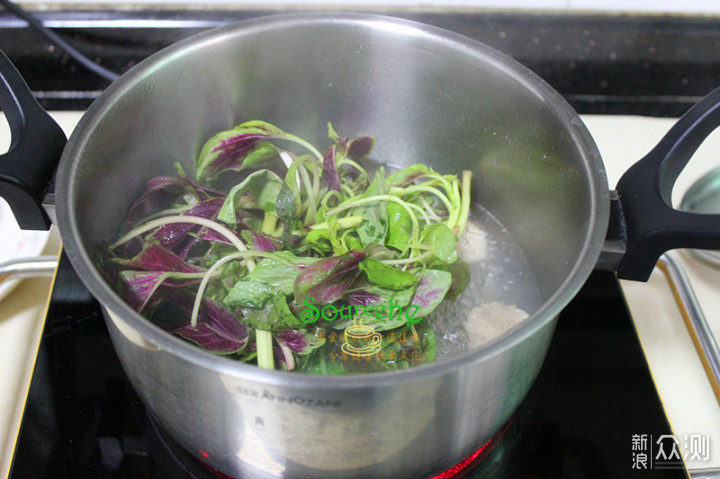 每年春分必做野菜汤，嫩绿清香，祛湿、去寒热_新浪众测