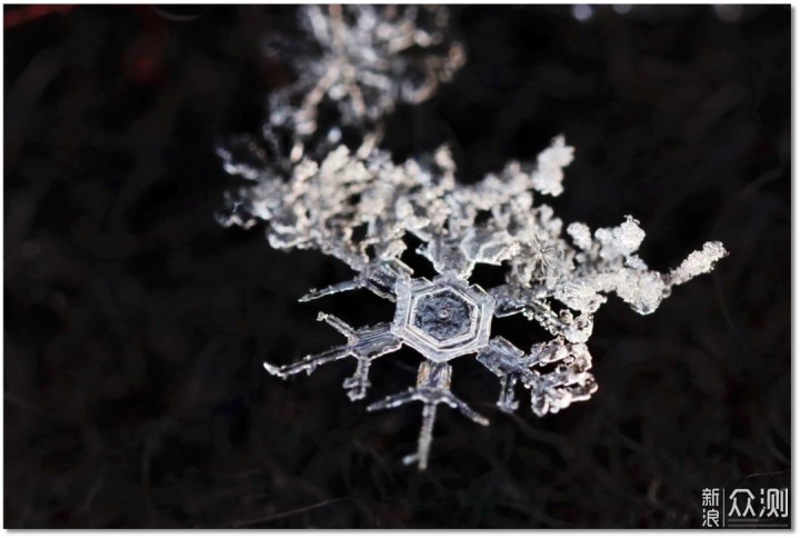 現在,雪已經開始融化.下面照片中的雪花,都已不復存在.