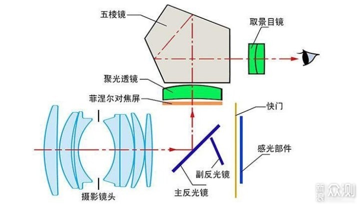 微距拍摄不清晰？4个技巧，拍清晰的微距照片_新浪众测