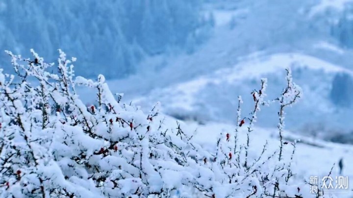 为何拍不出“落雪纷飞”的效果？原因在这里_新浪众测