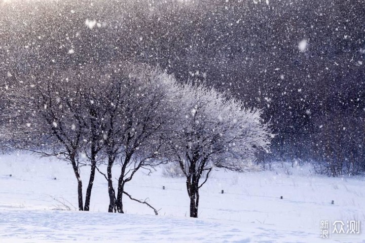 为何拍不出“落雪纷飞”的效果？原因在这里_新浪众测