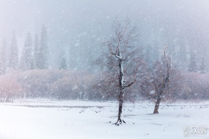 为何拍不出“落雪纷飞”的效果？原因在这里_新浪众测