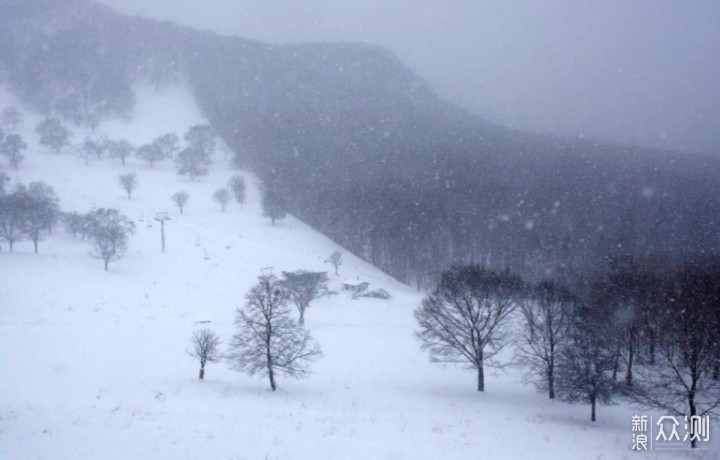 为何拍不出“落雪纷飞”的效果？原因在这里_新浪众测