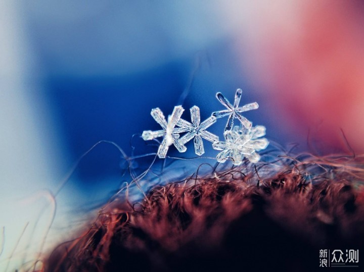 微距下晶莹剔透的雪花，快来学学怎么拍_新浪众测