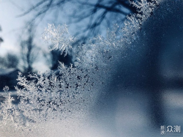 微距下晶莹剔透的雪花，快来学学怎么拍_新浪众测