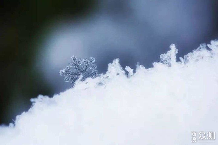 微距下晶莹剔透的雪花，快来学学怎么拍_新浪众测