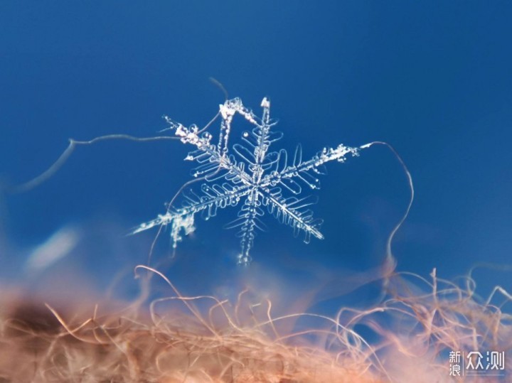 微距下晶莹剔透的雪花，快来学学怎么拍_新浪众测