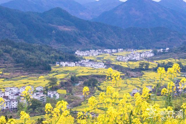 婺源油菜花盛开，这些地方可以拍出大片_新浪众测