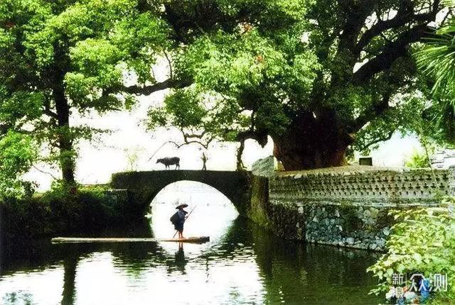 婺源油菜花盛开，这些地方可以拍出大片_新浪众测